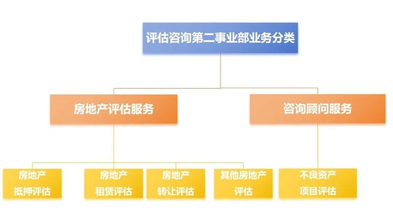 上海信息咨询行业的最新动态